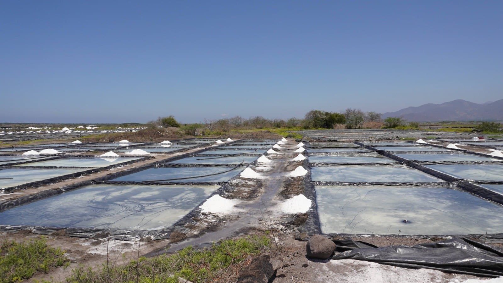 Salinas de la costa de Colima, México.
